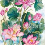 Papel de Arroz Calambour A3 Decoupage - Flor lotus