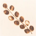 Caneta de Pirografia electrica 5pcs - Image 7